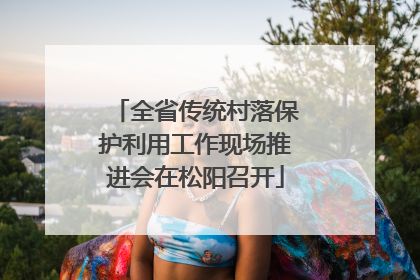 全省传统村落保护利用工作现场推进会在松阳召开