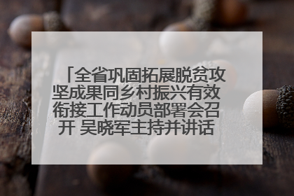 全省巩固拓展脱贫攻坚成果同乡村振兴有效衔接工作动员部署会召开 吴晓军主持并讲话 罗东川作安排部署