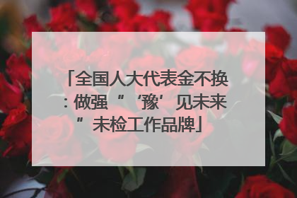 全国人大代表金不换：做强“‘豫’见未来”未检工作品牌