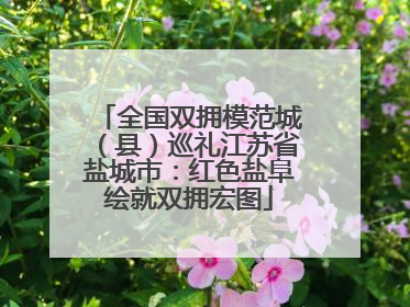全国双拥模范城（县）巡礼江苏省盐城市：红色盐阜绘就双拥宏图