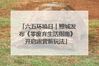 六五环境日｜鲤城发布《零废弃生活指南》开启露营新玩法