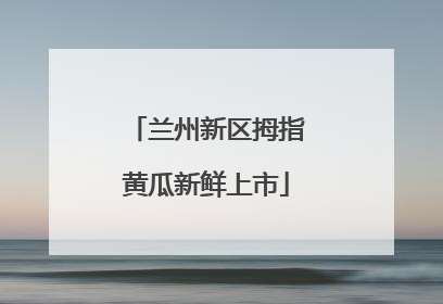 兰州新区拇指黄瓜新鲜上市