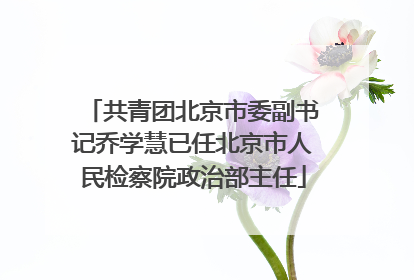 共青团北京市委副书记乔学慧已任北京市人民检察院政治部主任