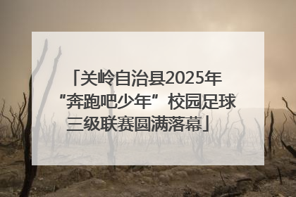 关岭自治县2025年“奔跑吧少年”校园足球三级联赛圆满落幕