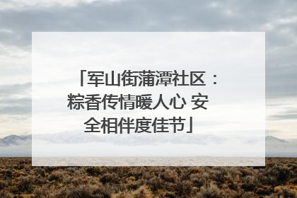 军山街蒲潭社区：粽香传情暖人心 安全相伴度佳节