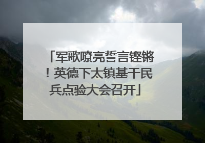 军歌嘹亮誓言铿锵！英德下太镇基干民兵点验大会召开