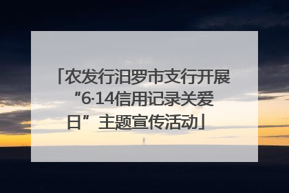 农发行汨罗市支行开展“6·14信用记录关爱日”主题宣传活动