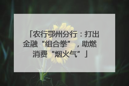 农行鄂州分行：打出金融“组合拳”，助燃消费“烟火气”