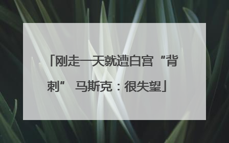 刚走一天就遭白宫“背刺” 马斯克：很失望