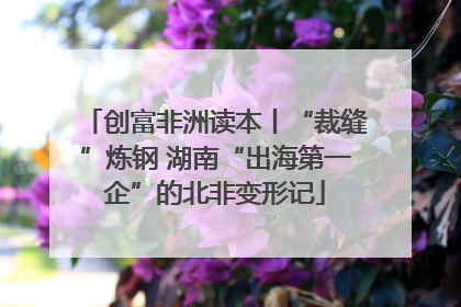 创富非洲读本丨“裁缝”炼钢 湖南“出海第一企”的北非变形记
