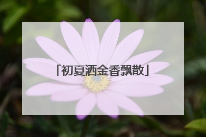 初夏洒金香飘散