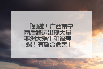 别碰！广西南宁雨后路边出现大量非洲大蜗牛和福寿螺！有致命危害