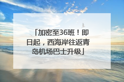 加密至36班！即日起，西海岸往返青岛机场巴士升级