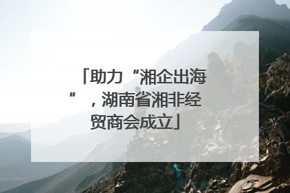 助力“湘企出海”，湖南省湘非经贸商会成立