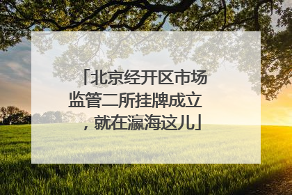 北京经开区市场监管二所挂牌成立，就在瀛海这儿