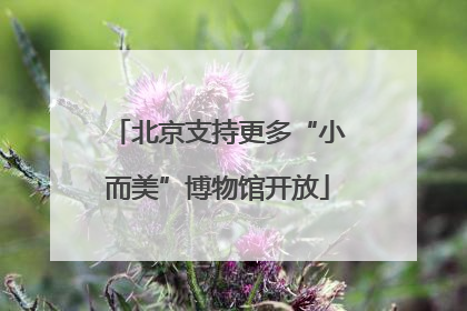 北京支持更多“小而美”博物馆开放