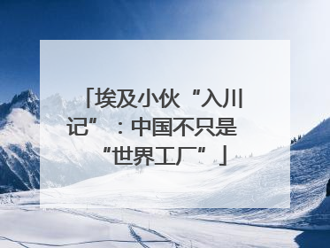 埃及小伙“入川记”：中国不只是“世界工厂”