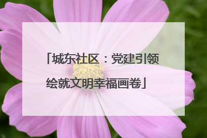 城东社区：党建引领绘就文明幸福画卷