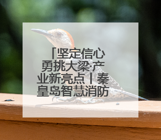 坚定信心 勇挑大梁·产业新亮点丨秦皇岛智慧消防产品占全国市场超四成