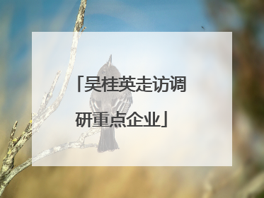 吴桂英走访调研重点企业