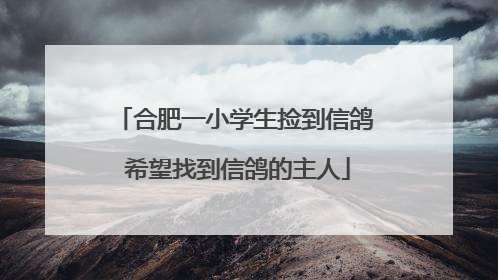 合肥一小学生捡到信鸽 希望找到信鸽的主人