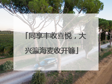 同享丰收喜悦，大兴瀛海麦收开镰