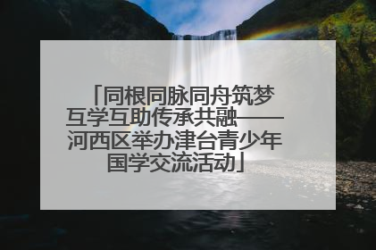 同根同脉同舟筑梦 互学互助传承共融——河西区举办津台青少年国学交流活动