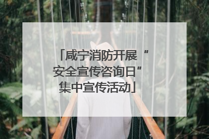 咸宁消防开展“安全宣传咨询日”集中宣传活动