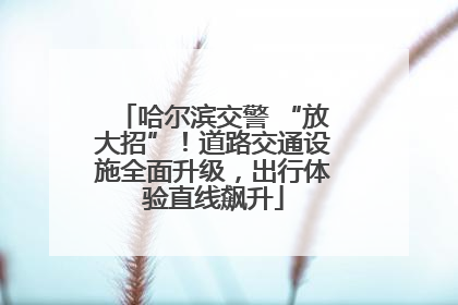 哈尔滨交警 “放大招”！道路交通设施全面升级，出行体验直线飙升