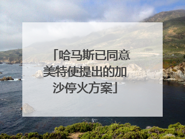 哈马斯已同意美特使提出的加沙停火方案