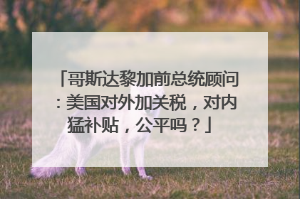 哥斯达黎加前总统顾问：美国对外加关税，对内猛补贴，公平吗？