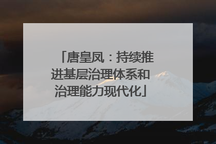 唐皇凤：持续推进基层治理体系和治理能力现代化