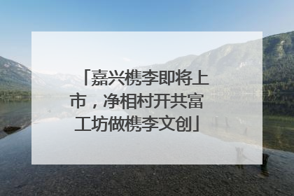 嘉兴槜李即将上市，净相村开共富工坊做槜李文创
