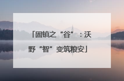 固镇之“谷”：沃野“智”变筑粮安