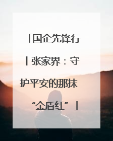 国企先锋行丨张家界：守护平安的那抹“金盾红”