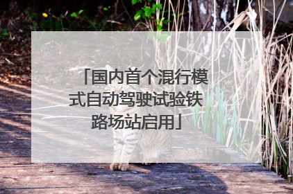 国内首个混行模式自动驾驶试验铁路场站启用