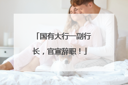 国有大行一副行长，官宣辞职！