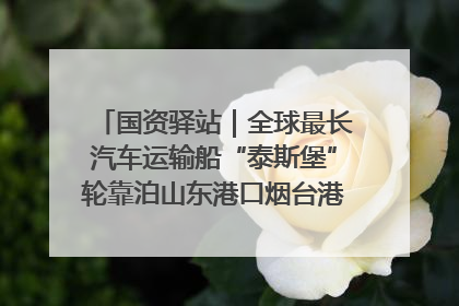 国资驿站｜全球最长汽车运输船“泰斯堡”轮靠泊山东港口烟台港；渤海最大油气平台完成浮托安装