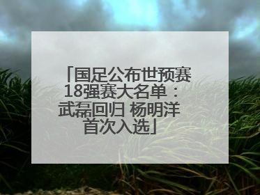 国足公布世预赛18强赛大名单：武磊回归 杨明洋首次入选