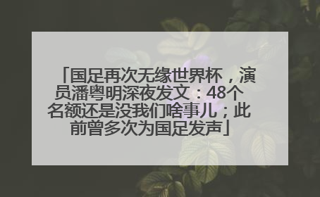 国足再次无缘世界杯，演员潘粤明深夜发文：48个名额还是没我们啥事儿；此前曾多次为国足发声