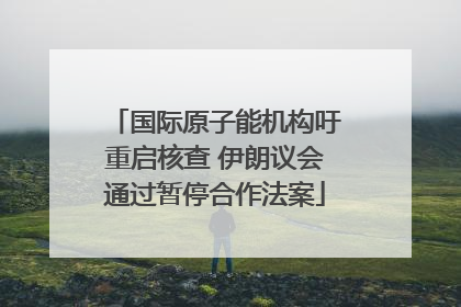 国际原子能机构吁重启核查 伊朗议会通过暂停合作法案