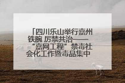 四川乐山举行嘉州铁腕 厉禁共治——“嘉网工程”禁毒社会化工作暨毒品集中销毁启动仪式