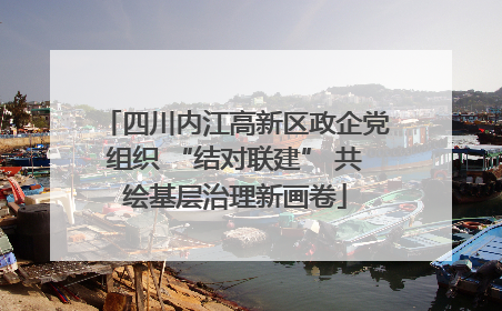 四川内江高新区政企党组织 “结对联建” 共绘基层治理新画卷