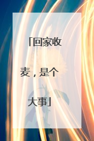 回家收麦，是个大事