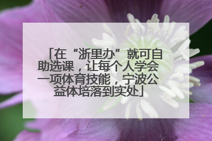 在“浙里办”就可自助选课，让每个人学会一项体育技能，宁波公益体培落到实处