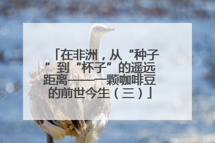在非洲，从“种子”到“杯子”的遥远距离——一颗咖啡豆的前世今生（三）