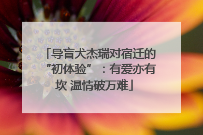 导盲犬杰瑞对宿迁的“初体验”：有爱亦有坎 温情破万难