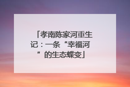 孝南陈家河重生记：一条“幸福河”的生态蝶变