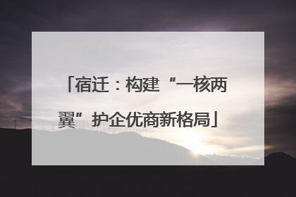 宿迁：构建“一核两翼”护企优商新格局