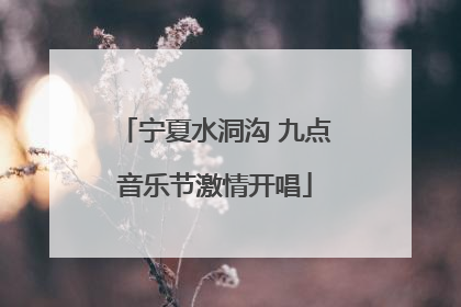 宁夏水洞沟 九点音乐节激情开唱